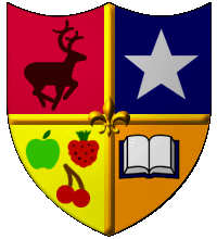 Kids make your own Coat of Arms